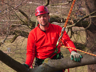Rainer Metz, European Tree Technician