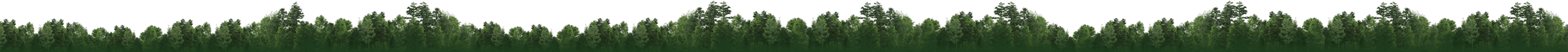 Bäume Hintergrund