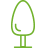 Kronenpflege